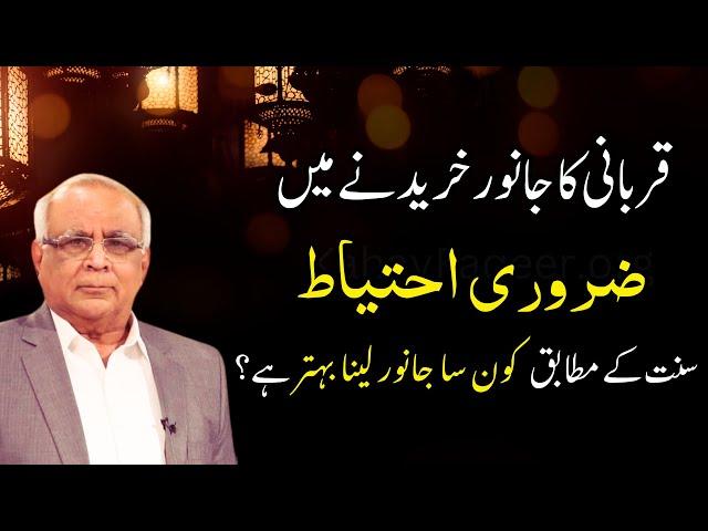 How to Buy a Qurbani Animal? | صحیح جانور کا انتخاب کیسے کریں؟ | Syed Sarfraz Ahmad Shah
