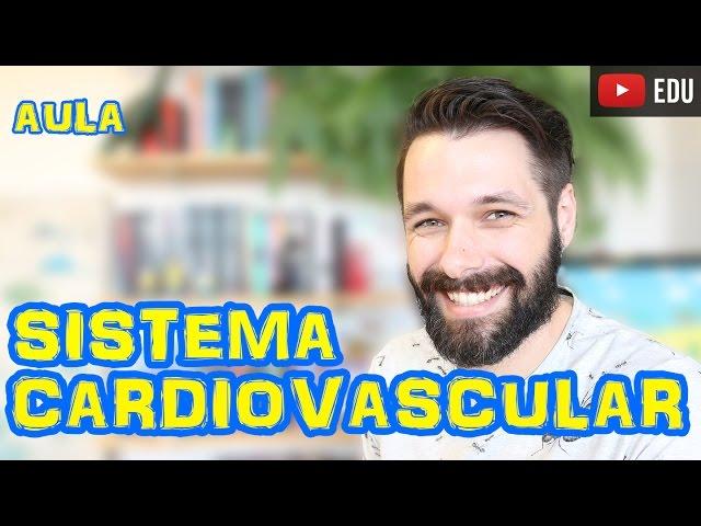 Sistema Circulatório - Cardiovascular - Sanguíneo | Prof. Samuel Cunha