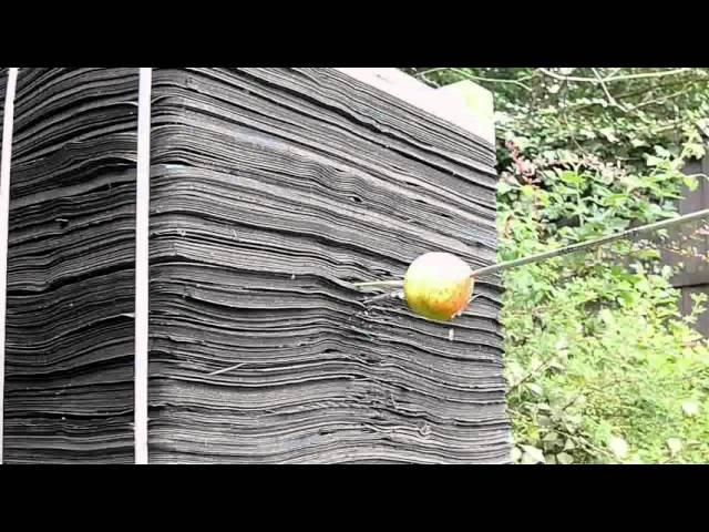 Recurve Trick Shots: Can I shoot an Apple with an Arrow?