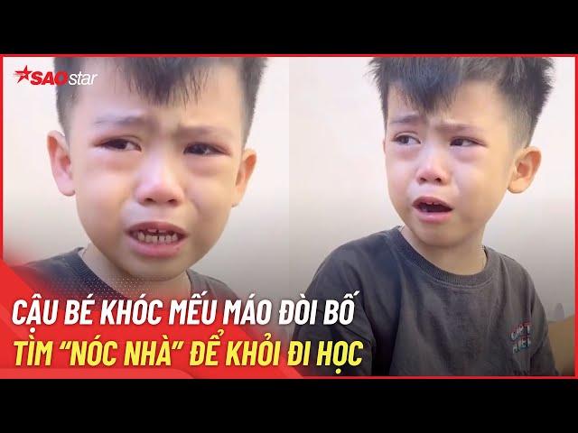 Tin giải trí | Cậu bé khóc mếu máo đòi bố tìm “nóc nhà” để khỏi đi học | SAOStar