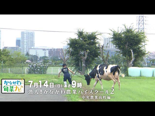 ウラナビ　7月14日放送：潜入！かながわ農業ハイスクール2 ～中央農業高校編～