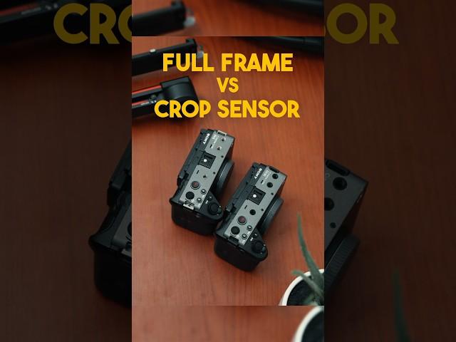 Full Frame Vs. Crop Sensor Cameras. Which one are you picking #sonyalpha #sonyfx3