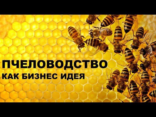 Пчеловодство как бизнес идея