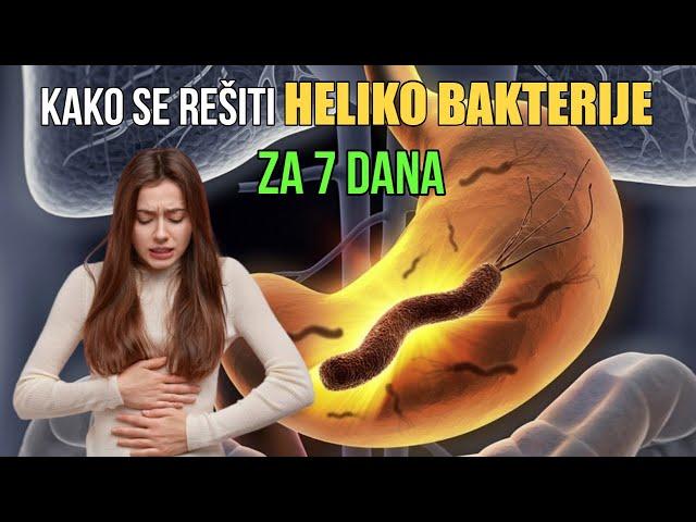Heliko bakterija simptomi, ishrana, jelovnik, lečenje, test
