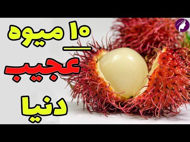 ترسناک ترین میوه های دنیا  خواص 10 میوه عجیب جهان