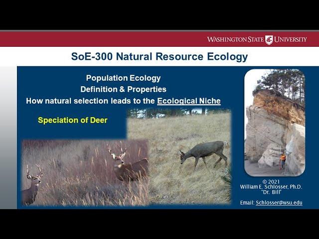 Sympatric speciation of North American Deer
