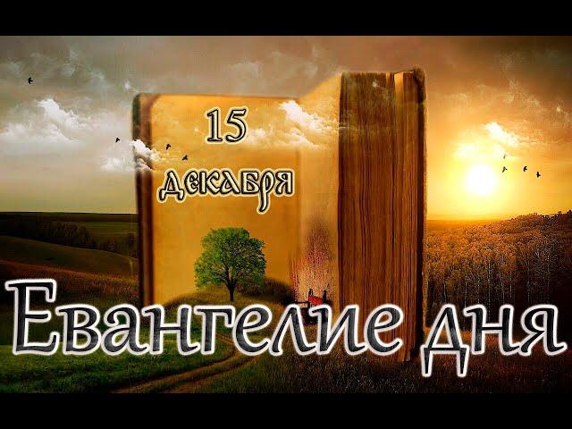 Апостол, Евангелие и Святые дня. Неделя 25-я по Пятидесятнице. (15.12.24)