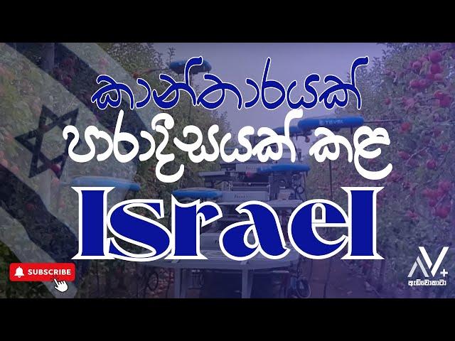  කාන්තාරයක් පාරාදීසයක් කළ Israel | Dilmini Abeyrathne