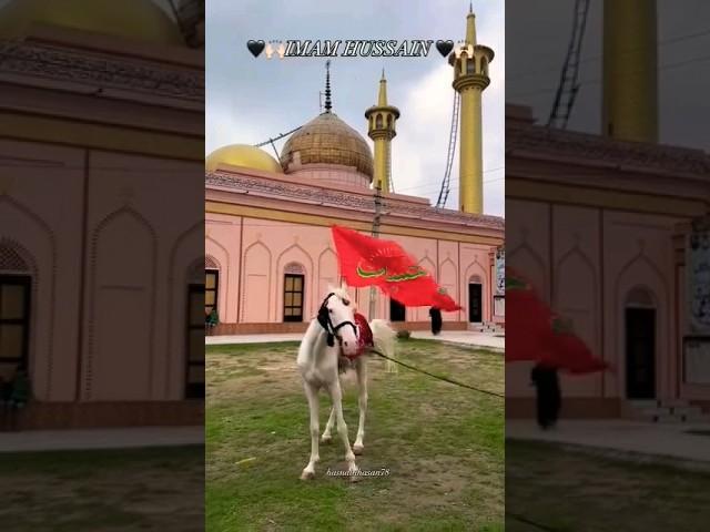 salaam || Hussain a.s #110#viral #shorts #YouTube#nadeem sarwar