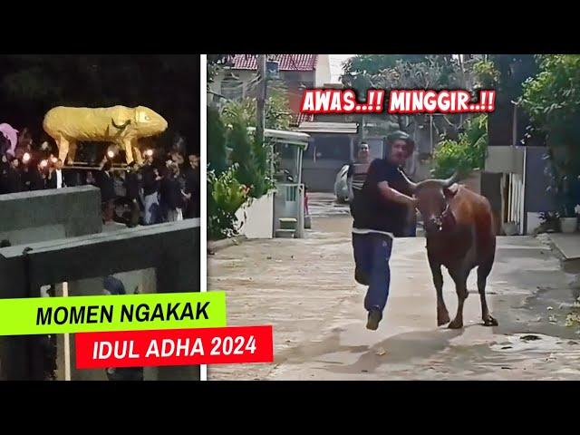 IDUL ADHA CORE..!! Deretan Momen Ngakak Hari Raya Kurban 2024