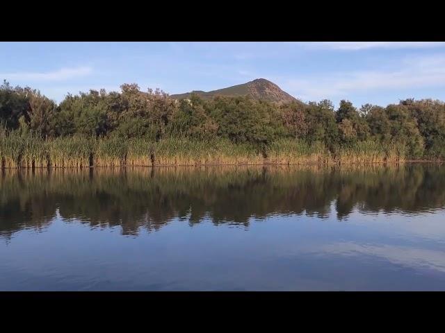 Amazing landscape from DELLYS Algeria short video