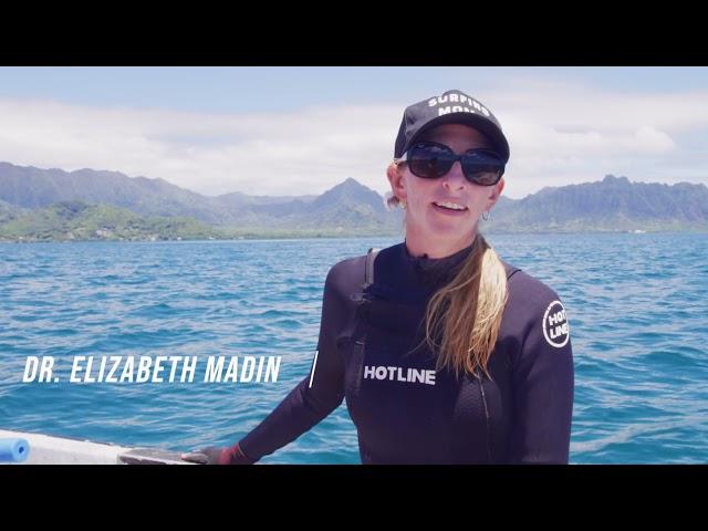 2021 Summer Course -- Hawai‘i Institute of Marine Biology and Schmidt Ocean Institute