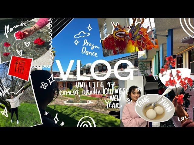 Vlog 17 | Parties | Hot Pot | Chinese New Year 