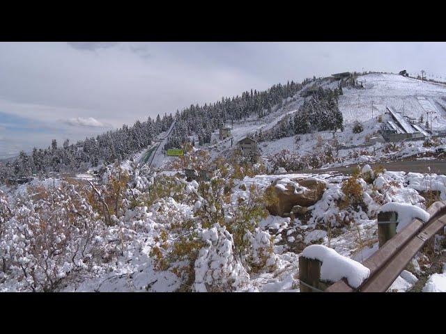 Olympic Freestyle Skier Nick Goepper shows off his backyard playground called 'Gepland'