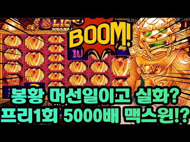 [슬롯머신]프라그마틱 5라이온스 프리1회만에 5천배 맥스윈! 봉황잔치!! (pragmatic slot : 5 lions max win)