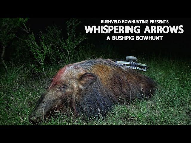 WHISPERING ARROWS... A BUSHPIG BOWHUNT! #bowhunting #easterncape #southafrica