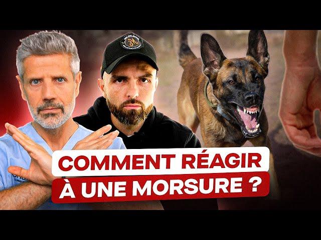 Morsure de Chien : Que Faire ? (ft. @EspritDog)