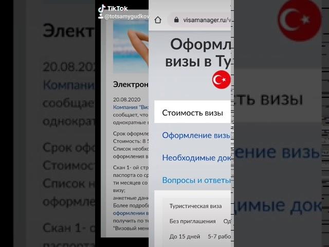 Электронная виза в Турцию для иностранных граждан.