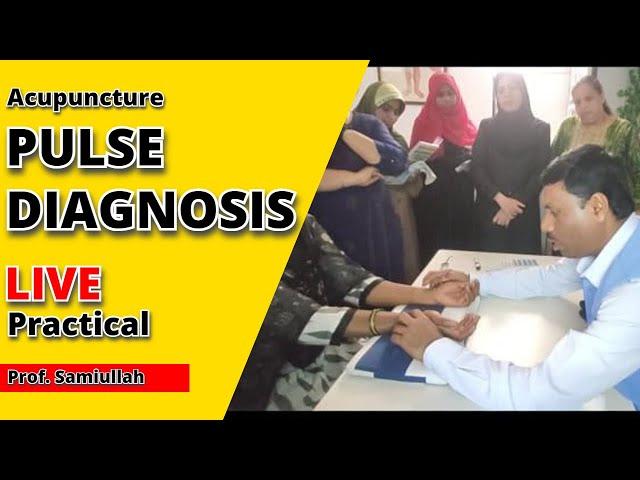 Pulse Diagnosis Live Practical By Prof. Samiullah | Acupuncture | Traditional Chinese Medicine