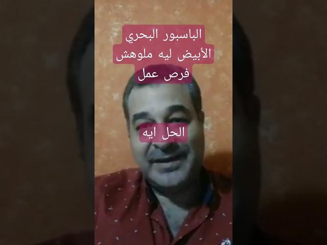 هام لكل بحري ابيض مشكلة الباسبور البحري الابيض ليه مفيش فرص عمل كفاية له و الحل ايه