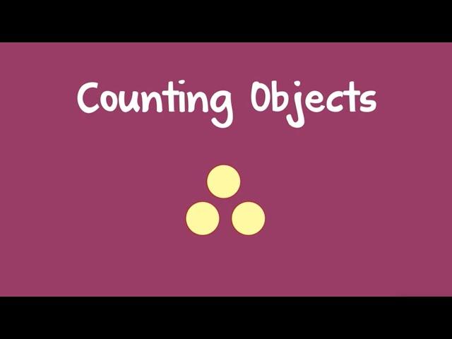 Counting Objects