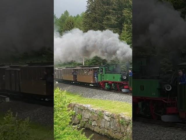 I K Nr54 Bei der Preßnitztalbahn.