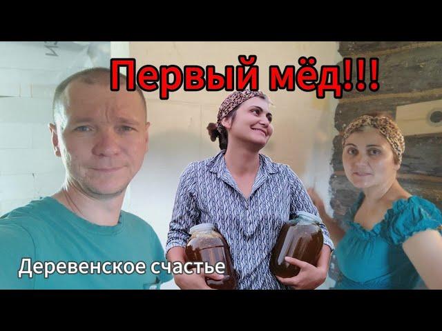 Откачали первый мед// Покрасили стены