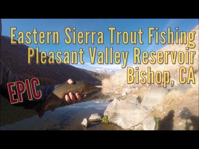 Epic Eastern Sierra Trout Fishing at Pleasant Valley Reservoir - Bishop, CA