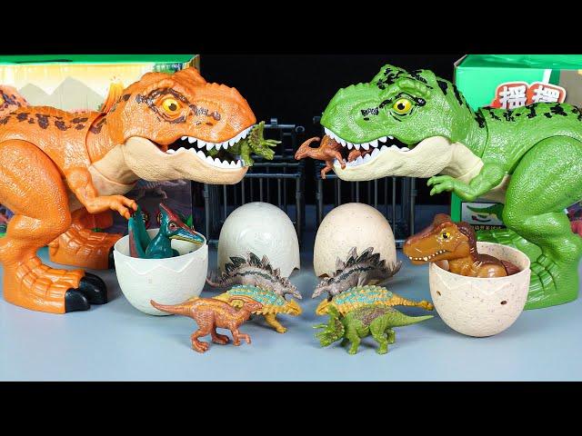 12 DINOSAURS: 2 BIG T-REX, TRICERATOPS, STEGOSAURUS, ANKYLOSAURUS, PTERANODON &.&..ASMR - DKT 240524