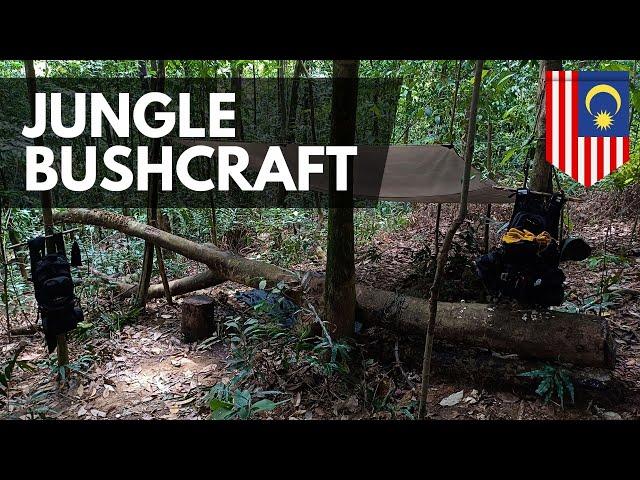 Bushcrafting in the Malaysian Jungle