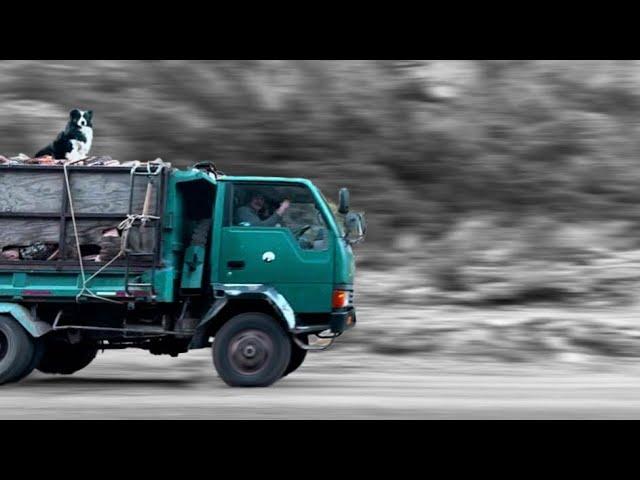 Nos preparamos para un TEMPORAL en la PATAGONIA - ASMR - Buscando leña en el río. Carretera Austral