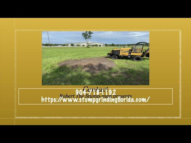 Stump Grinding Jacksonville FL by Robert the stump-man.