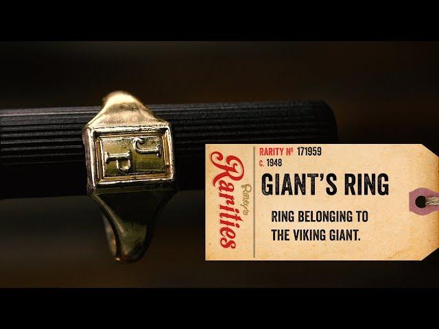 The Viking Giant's Ring