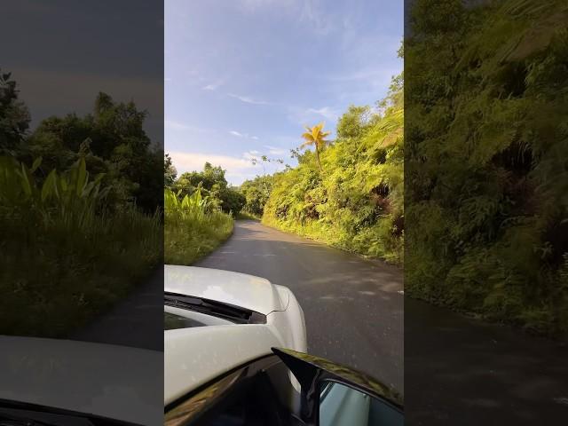 Country Side of Portland Parish Jamaica 
