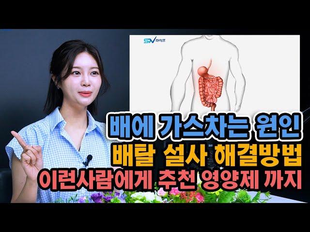 배에 가스찼을때 소화불량 , 배탈 설사 원인과 속이 불편한거 해결방법 , 방귀 끼는 원인 , 속이 불편한 분 추천하는 영양제 , 속이 편한 영양제 , 배에 가스빼기