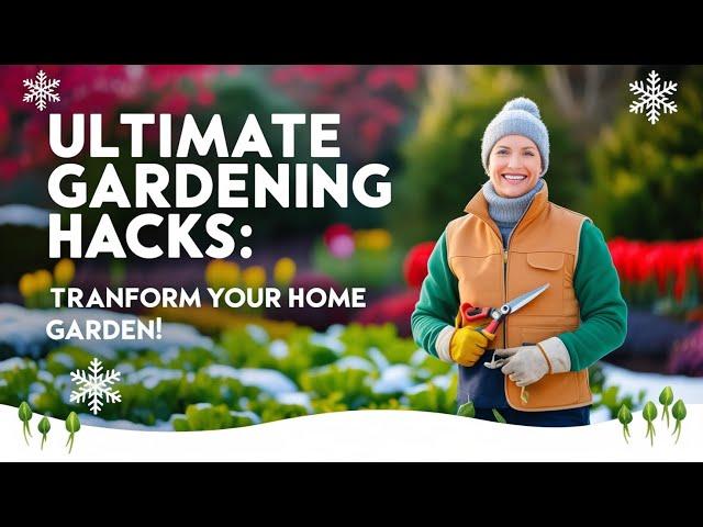 Ultimate Gardening Hacks: Transform Your Home Garden! home gardening ideas gardening tips and tricks