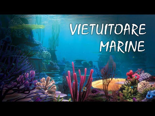 Invatam vietuitoarele marine!