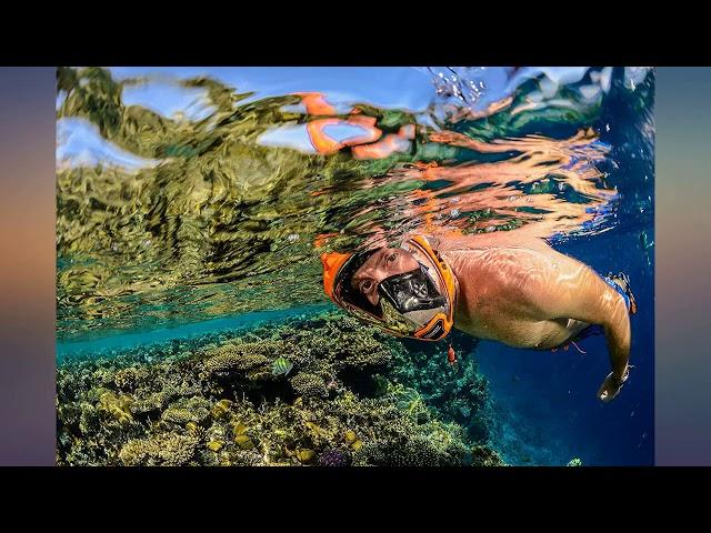 OCEAN REEF - Aria QR + Quick Release Snorkeling Mask - Full Face Snorkeling Mask - review