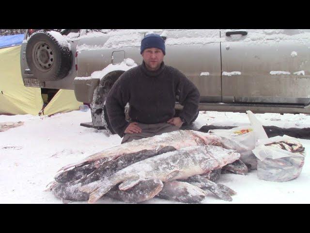 ЕСТЬ ТРОФЕЙ ПЕРВОЛЁДЬЯ. ПОЙМАЛИ ОГРОМНУЮ ЩУКУ. УХА ИЗ НАЛИМА. ДЕНЬ 3 РЕЗУЛЬТАТИВНЫЙ.