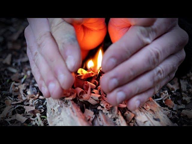 Como Hacer Fuego de Supervivencia en Ambientes Húmedos 