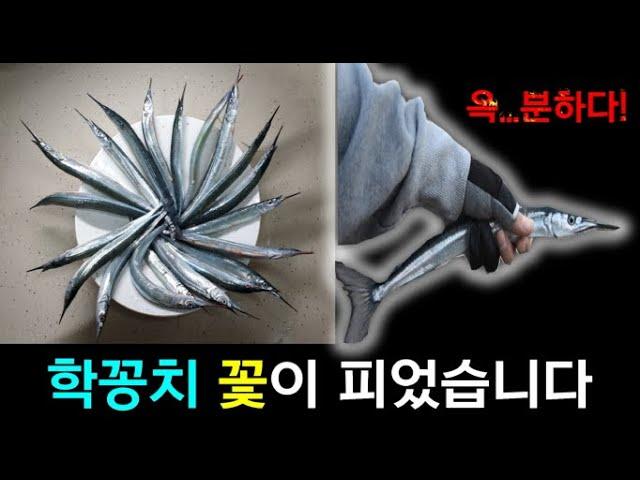 학꽁치 낚시(학꽁치 꽃이 피었습니다)-형광등급 학꽁치를 낚을 수 있을까?! Catch the spipefish.