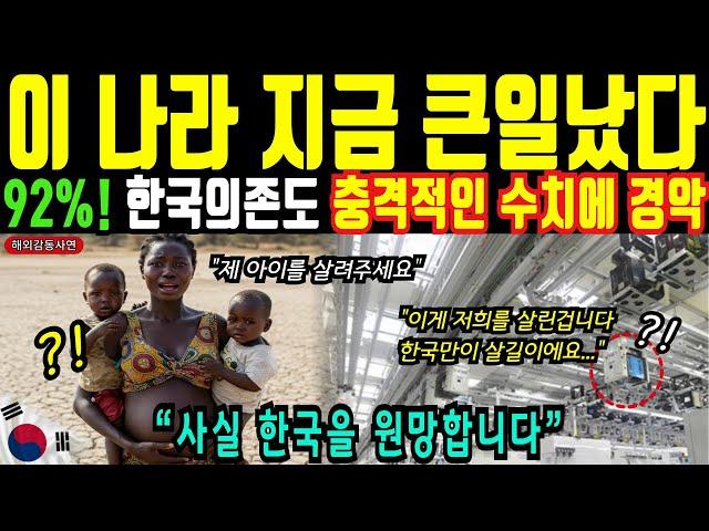 [해외감동사연] 한국이 세계 1위? 한국화 되어버린 나라 한국만 바라보는 나라
