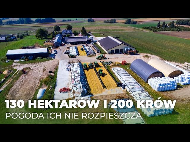 Od 4:30 na nogach, 130 hektarów i 200 sztuk bydła | Rolnik na Czasie