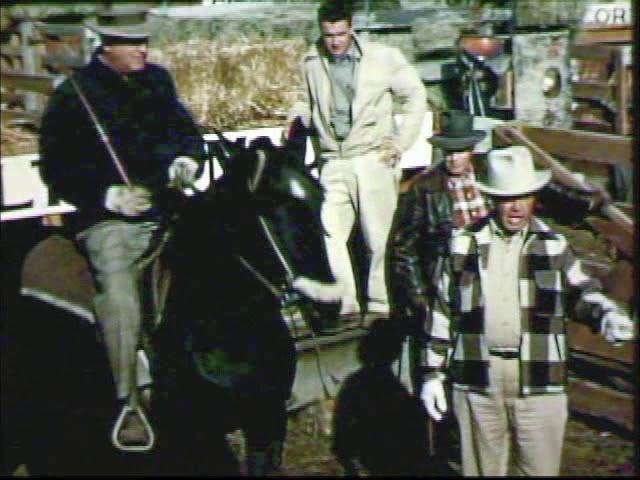 Omaha Stockyards, c. 1953