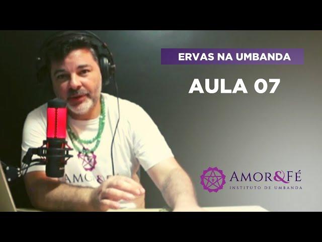 CURSO DE ERVAS NA UMBANDA | AULA 07 - ORÉGANO