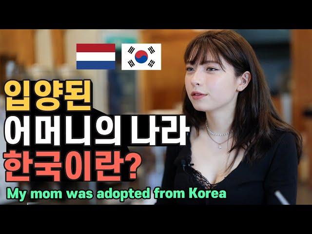 My mom was adopted from Korea and now I'm living in Korea! Amber from the Netherlands [Creative Den]