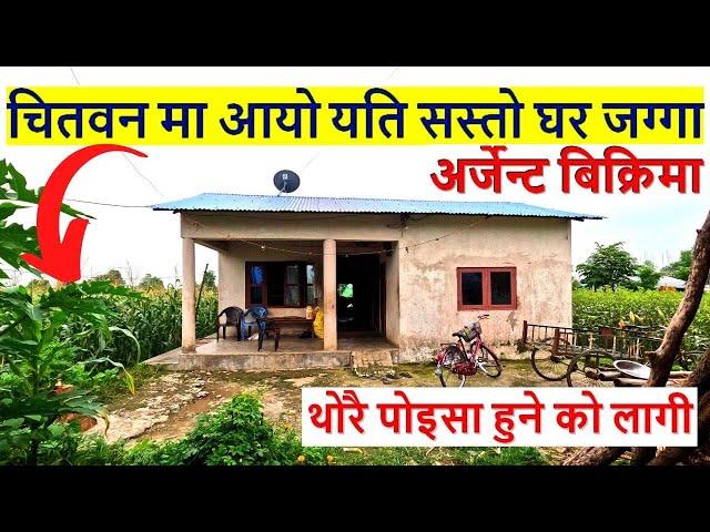 चितवन मा अहीले सम्म को सस्तो घर जग्गा आयो house and land on sale in chitwan | ghar jagga chitwan