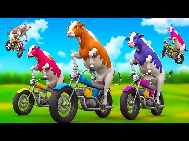 5 Giant Color Cows Race to Victory in Hilarious Bike Challenge! | Funny Cow Cartoons