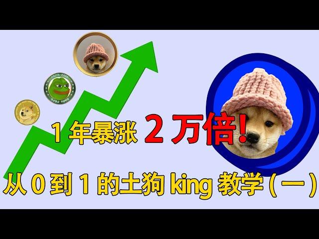 1年暴涨2万倍？从0-1的土狗教学，手把手教你成为土狗king（一）