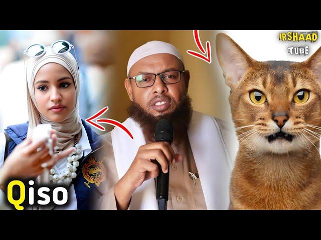 Qisadii Xanuunka Badneyd ee Dhexmartay Haweeney iyo Bisad┇2024 ᴴᴰ┇► Sheekh Maxamuud Xaliike